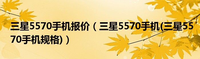 三星5570手机报价【三星5570手机(三星5570手机规格)】