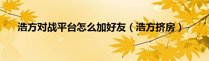 浩方对战平台怎么加好友【浩方挤房】