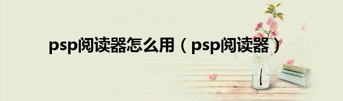 psp阅读器怎么用【psp阅读器】