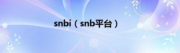 snbi【snb平台】