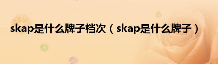 skap是什么牌子档次【skap是什么牌子】