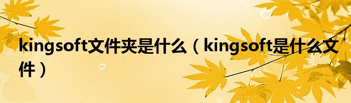 kingsoft文件夹是什么【kingsoft是什么文件】