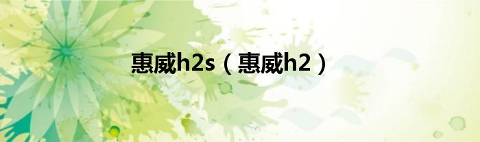 惠威h2s【惠威h2】