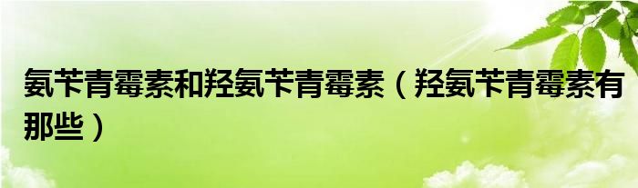 氨苄青霉素和羟氨苄青霉素【羟氨苄青霉素有那些】