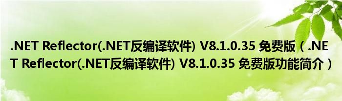 .NET Reflector(.NET反编译软件) V8.1.0.35 免费版【.NET Reflector(.NET反编译软件) V8.1.0.35 免费版功能简介】