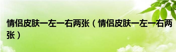 情侣皮肤一左一右两张【情侣皮肤一左一右两张】