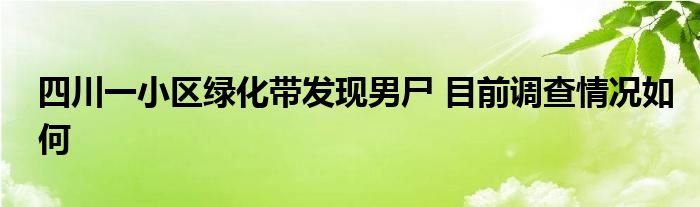 四川一小区绿化带发现男尸 目前调查情况如何