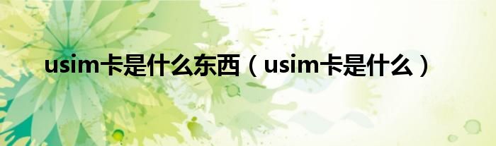 usim卡是什么东西【usim卡是什么】