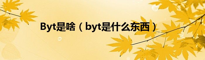 Byt是啥【byt是什么东西】