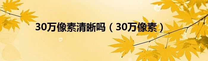 30万像素清晰吗【30万像素】