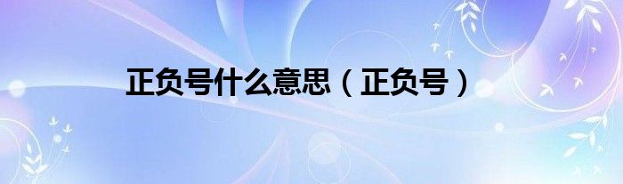 正负号什么意思【正负号】