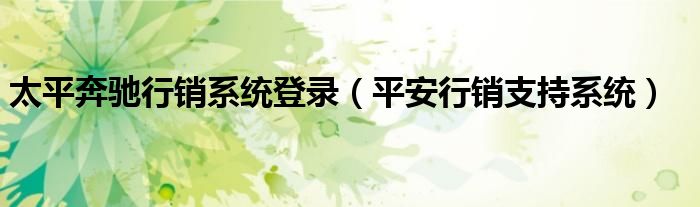 太平奔驰行销系统登录【平安行销支持系统】