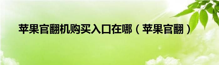 苹果官翻机购买入口在哪【苹果官翻】