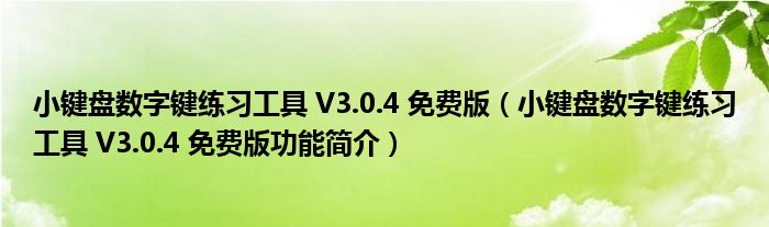 小键盘数字键练习工具 V3.0.4 免费版【小键盘数字键练习工具 V3.0.4 免费版功能简介】