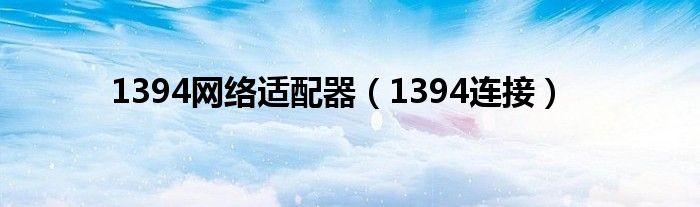 1394网络适配器【1394连接】