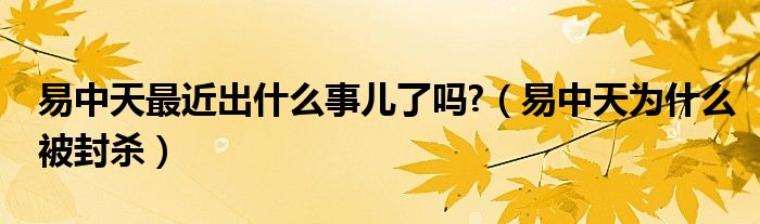 易中天最近出什么事儿了吗?【易中天为什么被封杀】