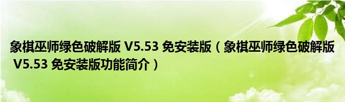 象棋巫师绿色破解版 V5.53 免安装版【象棋巫师绿色破解版 V5.53 免安装版功能简介】