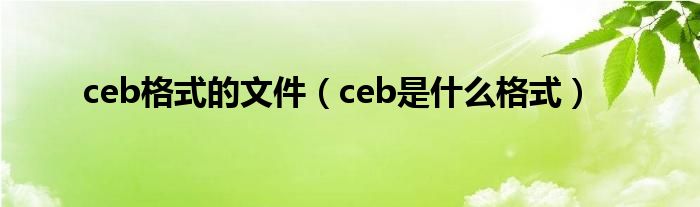 ceb格式的文件【ceb是什么格式】