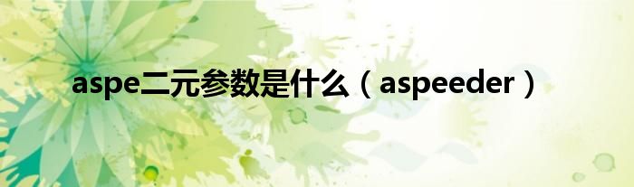 aspe二元参数是什么【aspeeder】