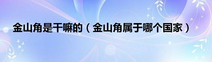 金山角是干嘛的【金山角属于哪个国家】