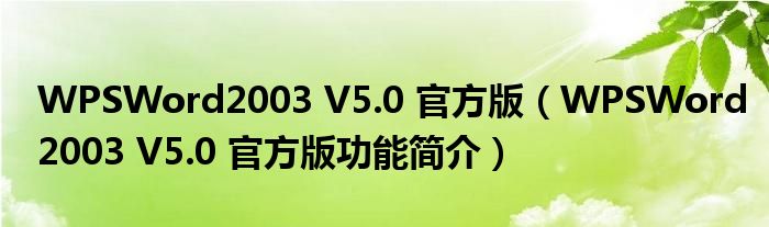 WPSWord2003 V5.0 官方版【WPSWord2003 V5.0 官方版功能简介】