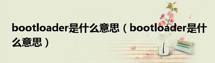 bootloader是什么意思【bootloader是什么意思】