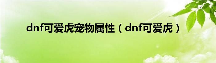 dnf可爱虎宠物属性【dnf可爱虎】