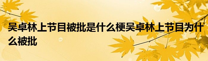 吴卓林上节目被批是什么梗吴卓林上节目为什么被批