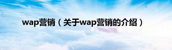 wap营销【关于wap营销的介绍】