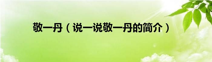 敬一丹【说一说敬一丹的简介】