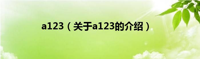 a123【关于a123的介绍】