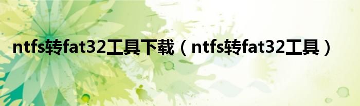 ntfs转fat32工具下载【ntfs转fat32工具】