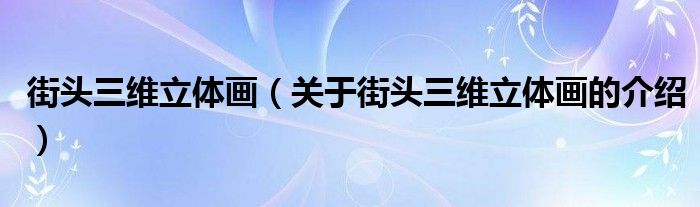 街头三维立体画【关于街头三维立体画的介绍】