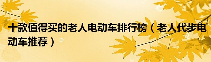 十款值得买的老人电动车排行榜【老人代步电动车推荐】