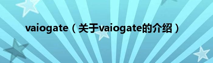 vaiogate【关于vaiogate的介绍】