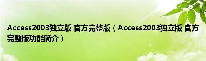 Access2003独立版 官方完整版【Access2003独立版 官方完整版功能简介】