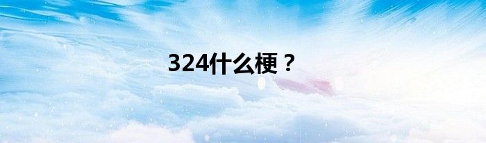 324什么梗？