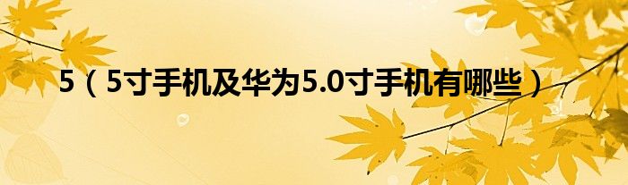 5【5寸手机及华为5.0寸手机有哪些】