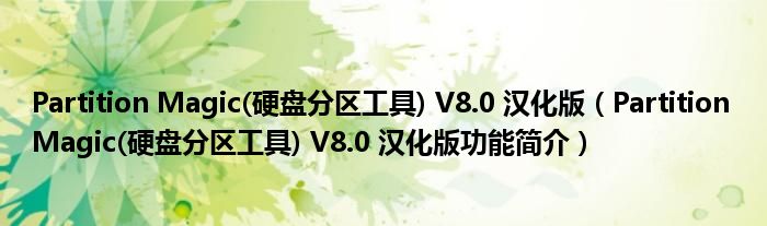 Partition Magic(硬盘分区工具) V8.0 汉化版【Partition Magic(硬盘分区工具) V8.0 汉化版功能简介】