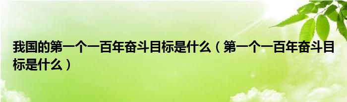 我国的第一个一百年奋斗目标是什么【第一个一百年奋斗目标是什么】