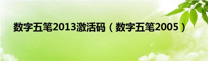 数字五笔2013激活码【数字五笔2005】