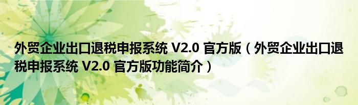 外贸企业出口退税申报系统 V2.0 官方版【外贸企业出口退税申报系统 V2.0 官方版功能简介】