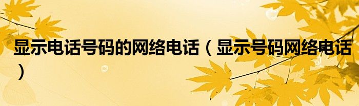 显示电话号码的网络电话【显示号码网络电话】