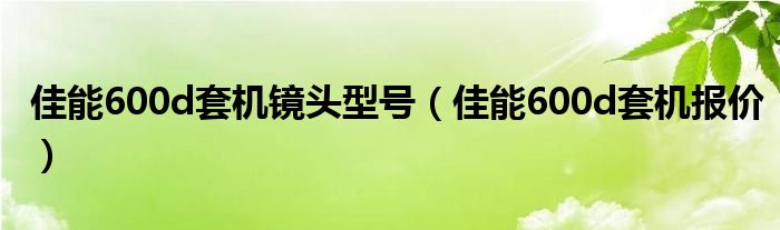 佳能600d套机镜头型号【佳能600d套机报价】