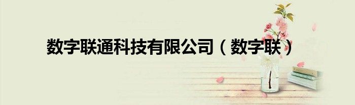 数字联通科技有限公司【数字联】