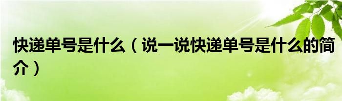 快递单号是什么【说一说快递单号是什么的简介】