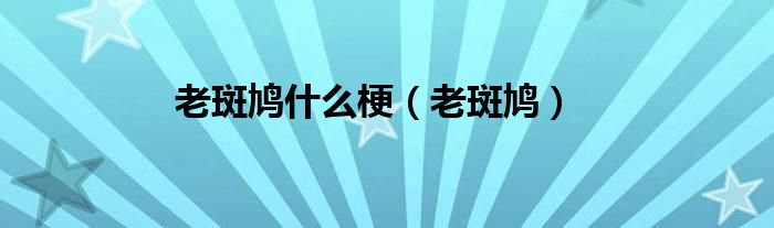 老斑鸠什么梗【老斑鸠】