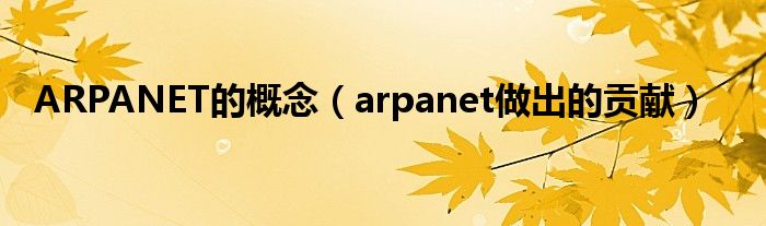 ARPANET的概念【arpanet做出的贡献】