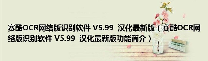 赛酷OCR网络版识别软件 V5.99 汉化最新版【赛酷OCR网络版识别软件 V5.99 汉化最新版功能简介】