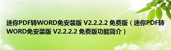 迷你PDF转WORD免安装版 V2.2.2.2 免费版【迷你PDF转WORD免安装版 V2.2.2.2 免费版功能简介】